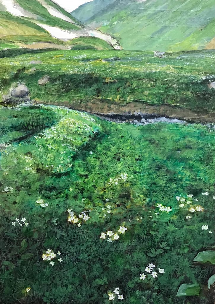 雷鳥沢お花畑